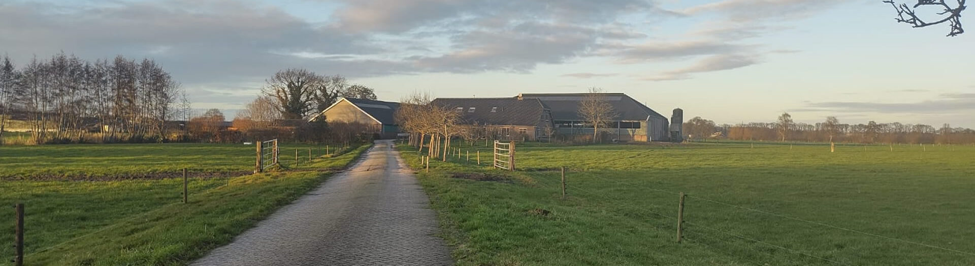 De boerderij oogst van eigen erf